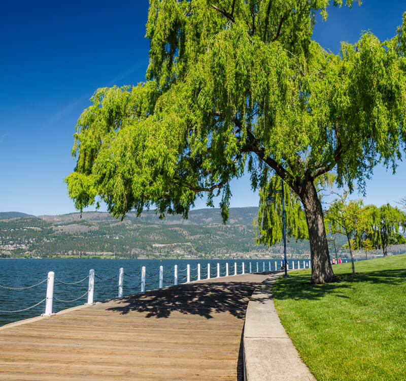 Promenade along the Okanagan Lake